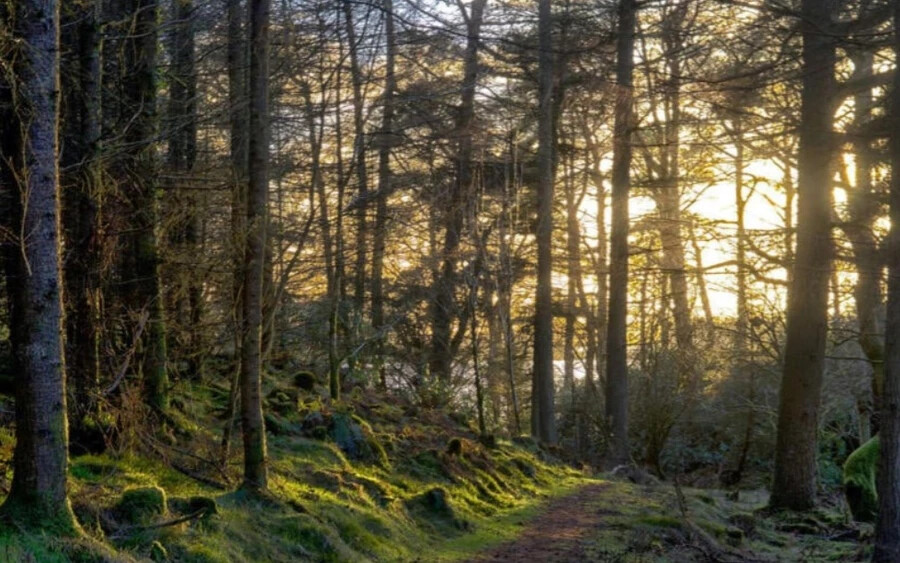 Galloway régió: Ez Skócia kevésbé ismert régiója, de az ország első UNESCO Bioszféra Rezervátuma lett. A terület közel 9800 négyzetkilométeren terül el, és erdőket, tengerpartokat és történelmi falvakat foglal magában. Egyszerűen a lélek megtisztulását jelenti a természetben.